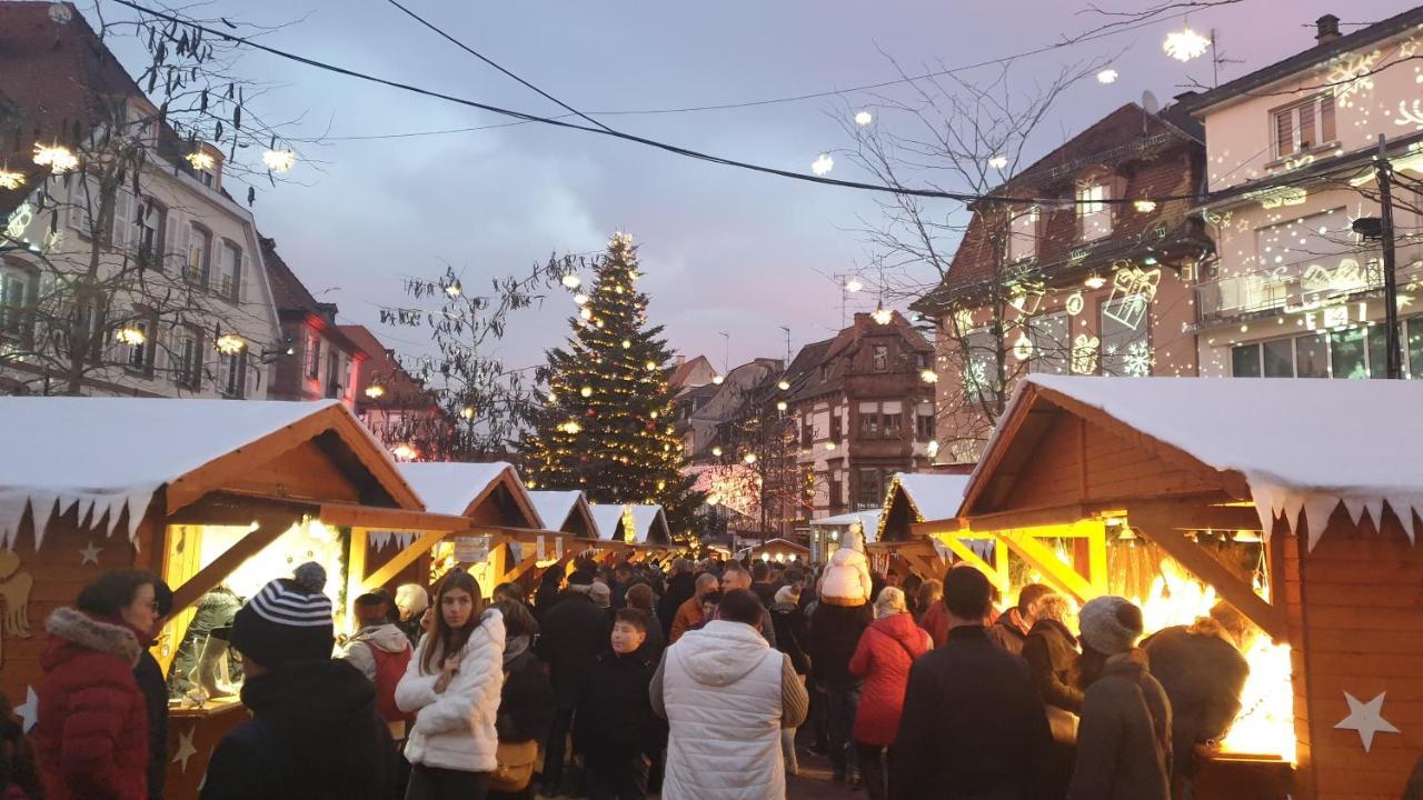 Le Wineck Villa Dambach Bagian luar foto
