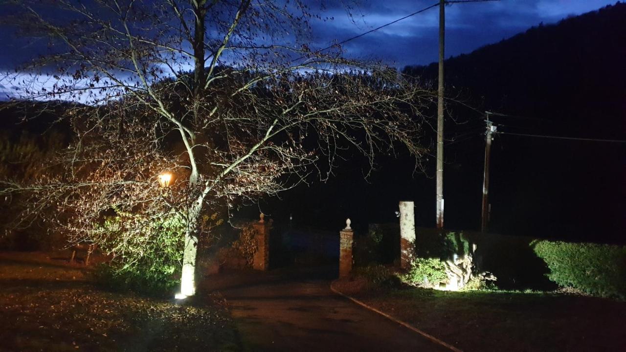 Le Wineck Villa Dambach Bagian luar foto