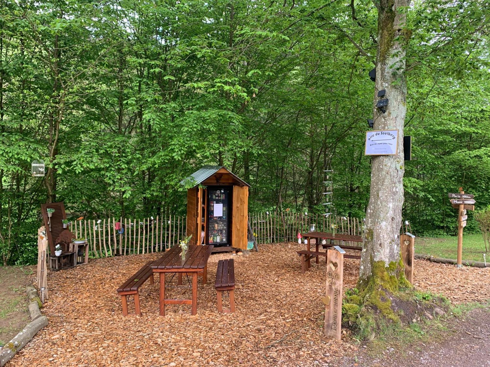 Le Wineck Villa Dambach Bagian luar foto