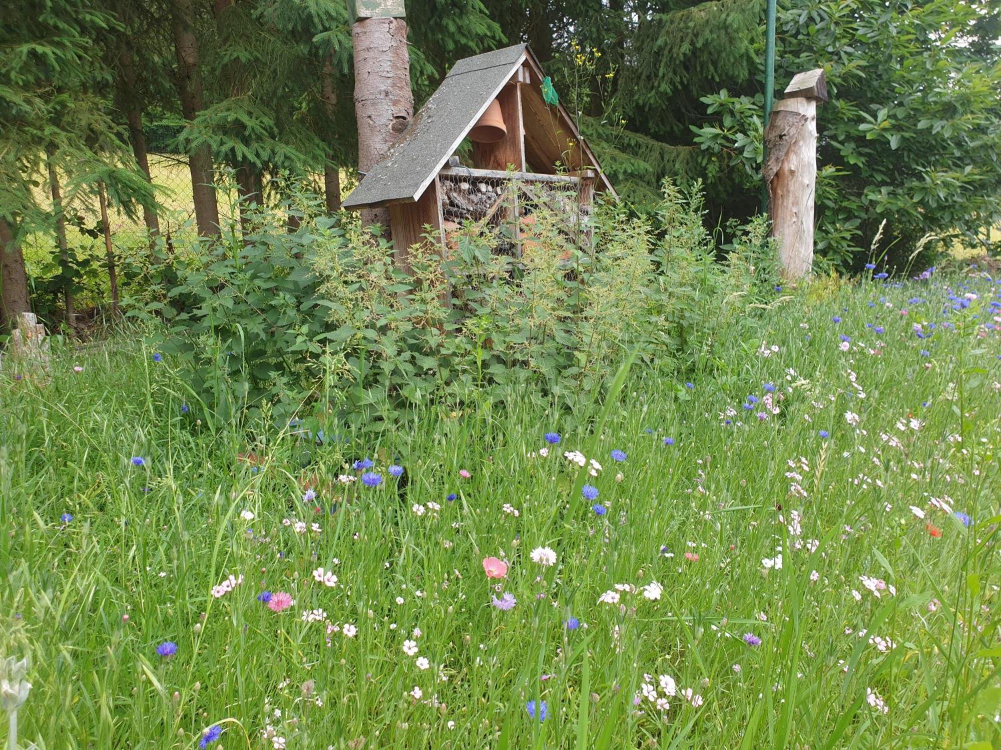 Le Wineck Villa Dambach Ruang foto