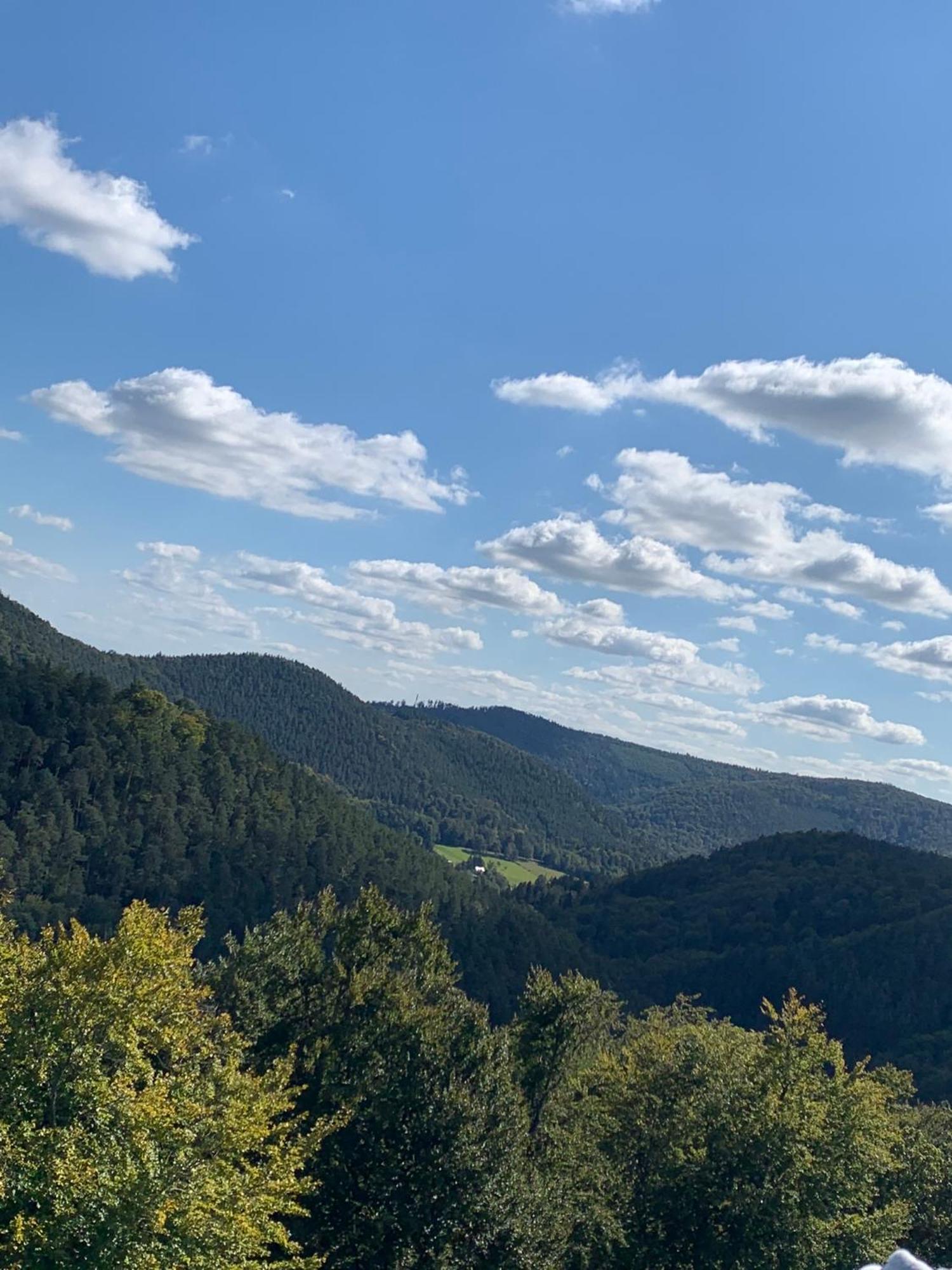 Le Wineck Villa Dambach Bagian luar foto