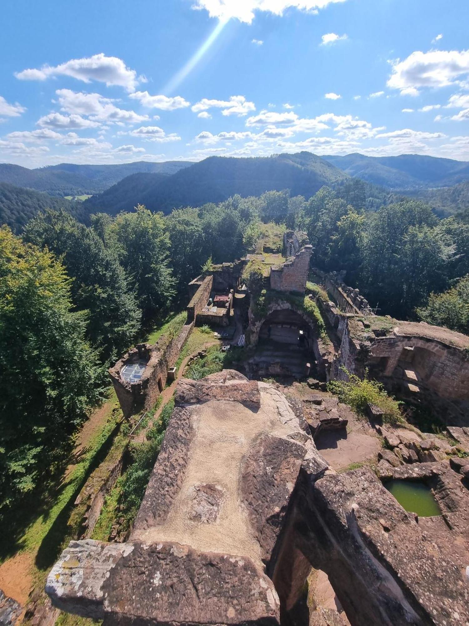 Le Wineck Villa Dambach Bagian luar foto