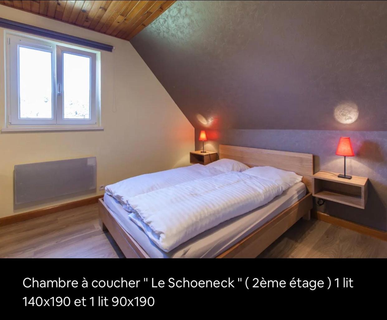 Le Wineck Villa Dambach Bagian luar foto