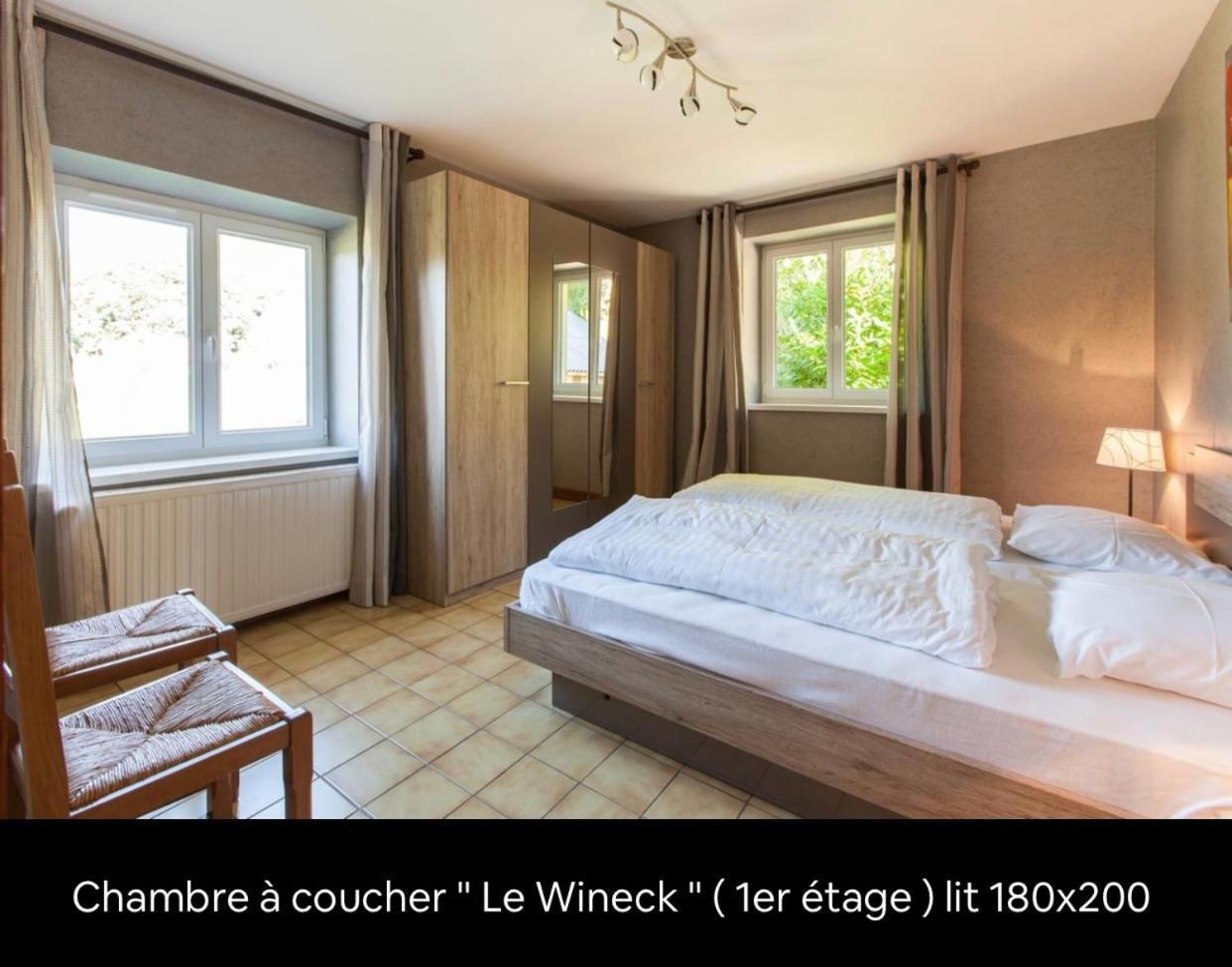 Le Wineck Villa Dambach Bagian luar foto