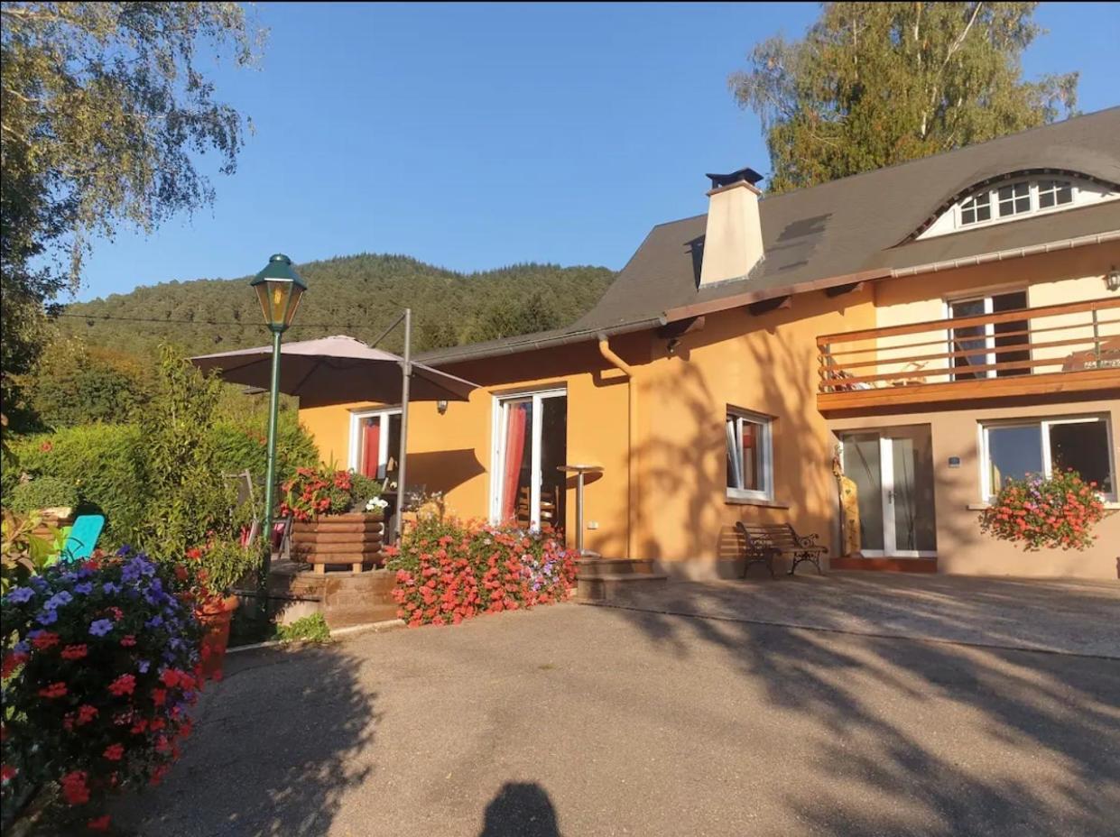 Le Wineck Villa Dambach Bagian luar foto