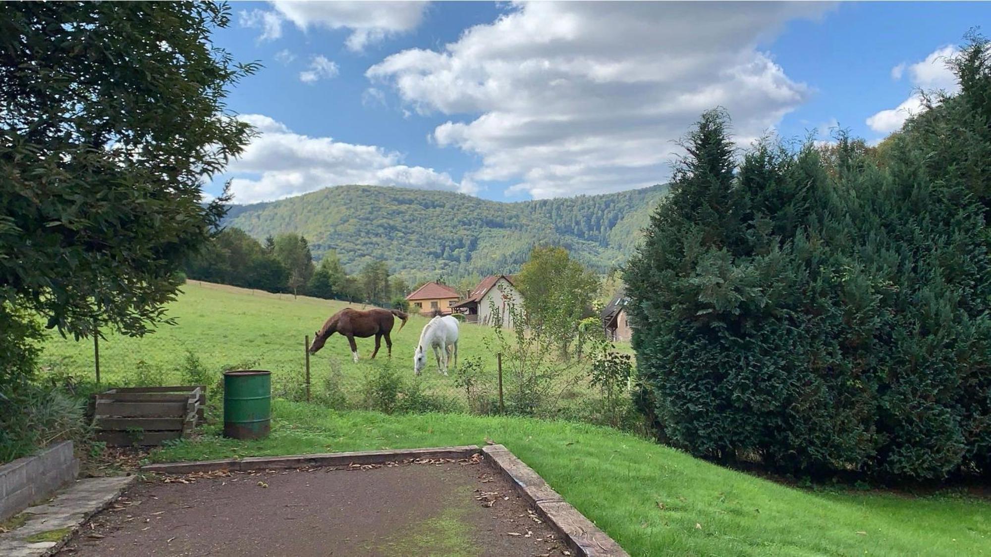 Le Wineck Villa Dambach Bagian luar foto