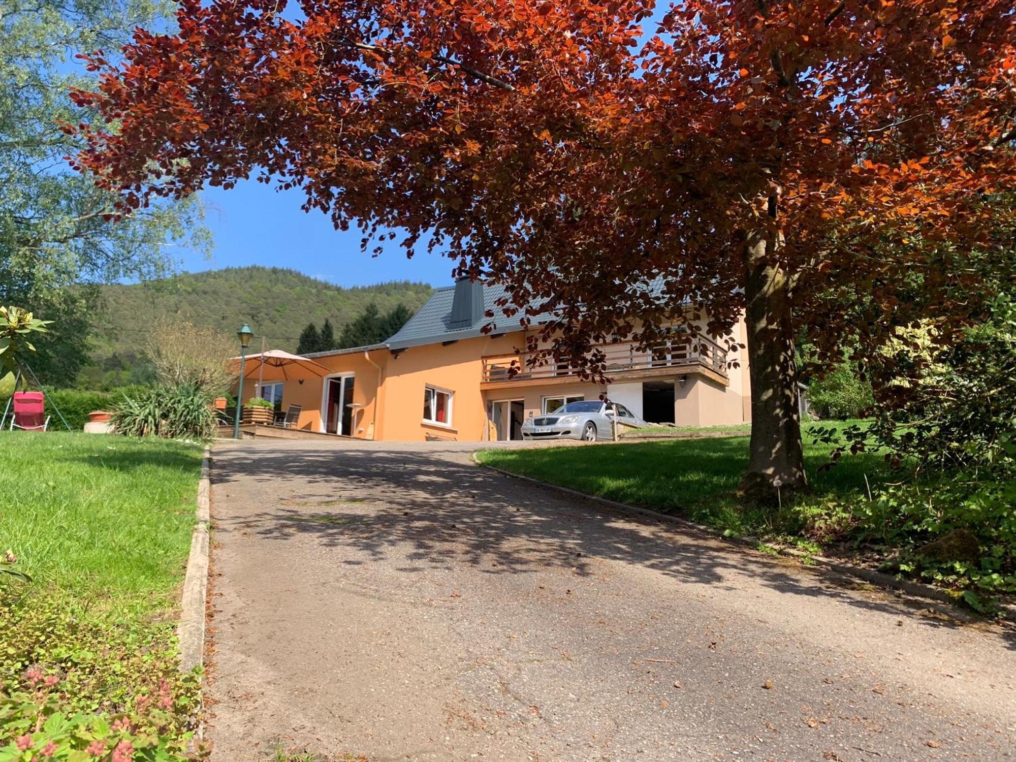 Le Wineck Villa Dambach Bagian luar foto