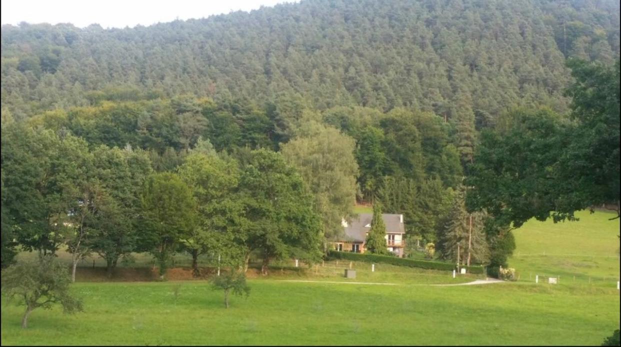 Le Wineck Villa Dambach Bagian luar foto