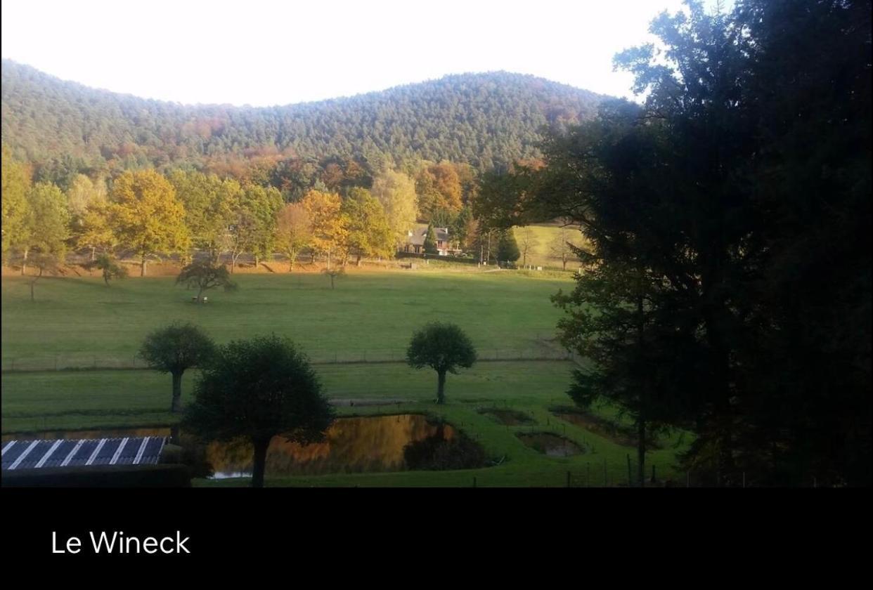 Le Wineck Villa Dambach Bagian luar foto