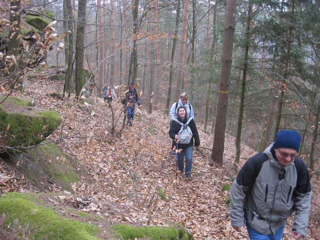 Le Wineck Villa Dambach Bagian luar foto