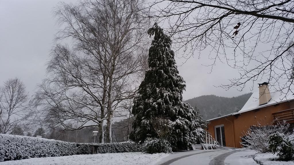 Le Wineck Villa Dambach Bagian luar foto