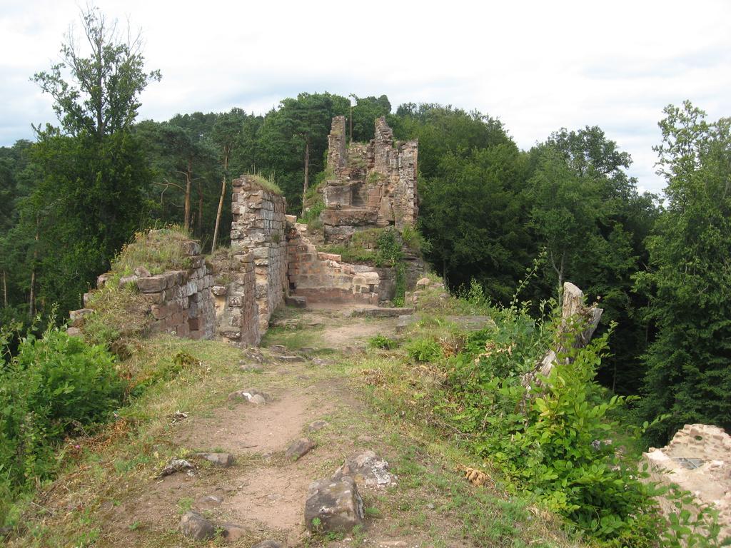 Le Wineck Villa Dambach Bagian luar foto