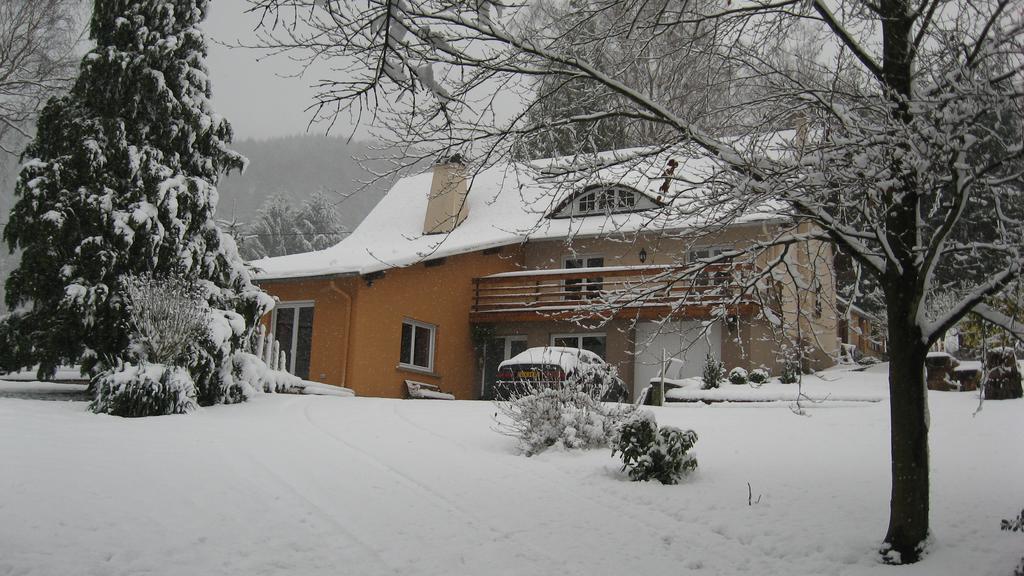 Le Wineck Villa Dambach Bagian luar foto