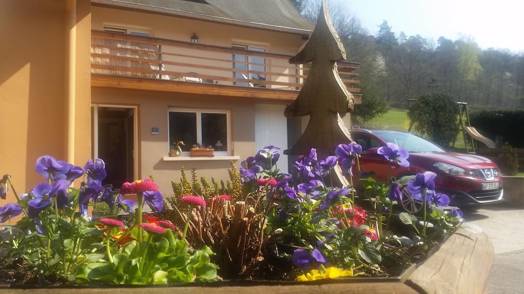 Le Wineck Villa Dambach Bagian luar foto