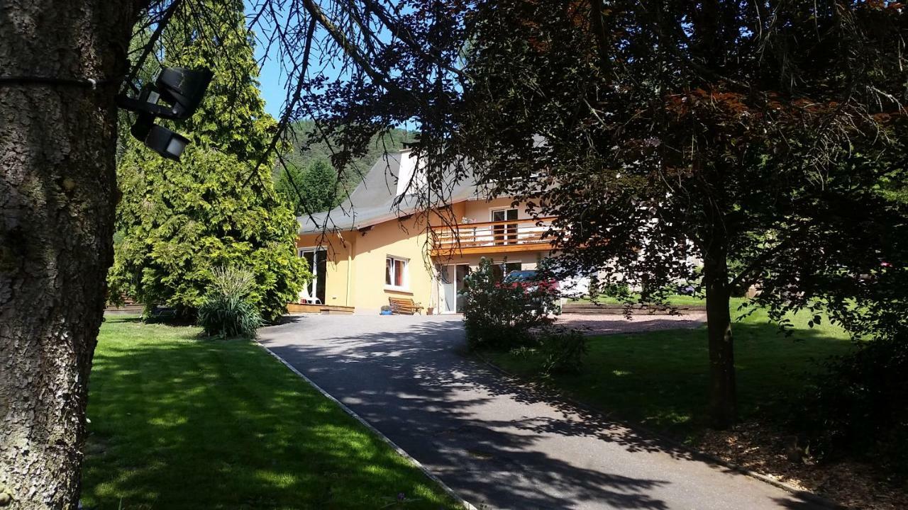 Le Wineck Villa Dambach Bagian luar foto