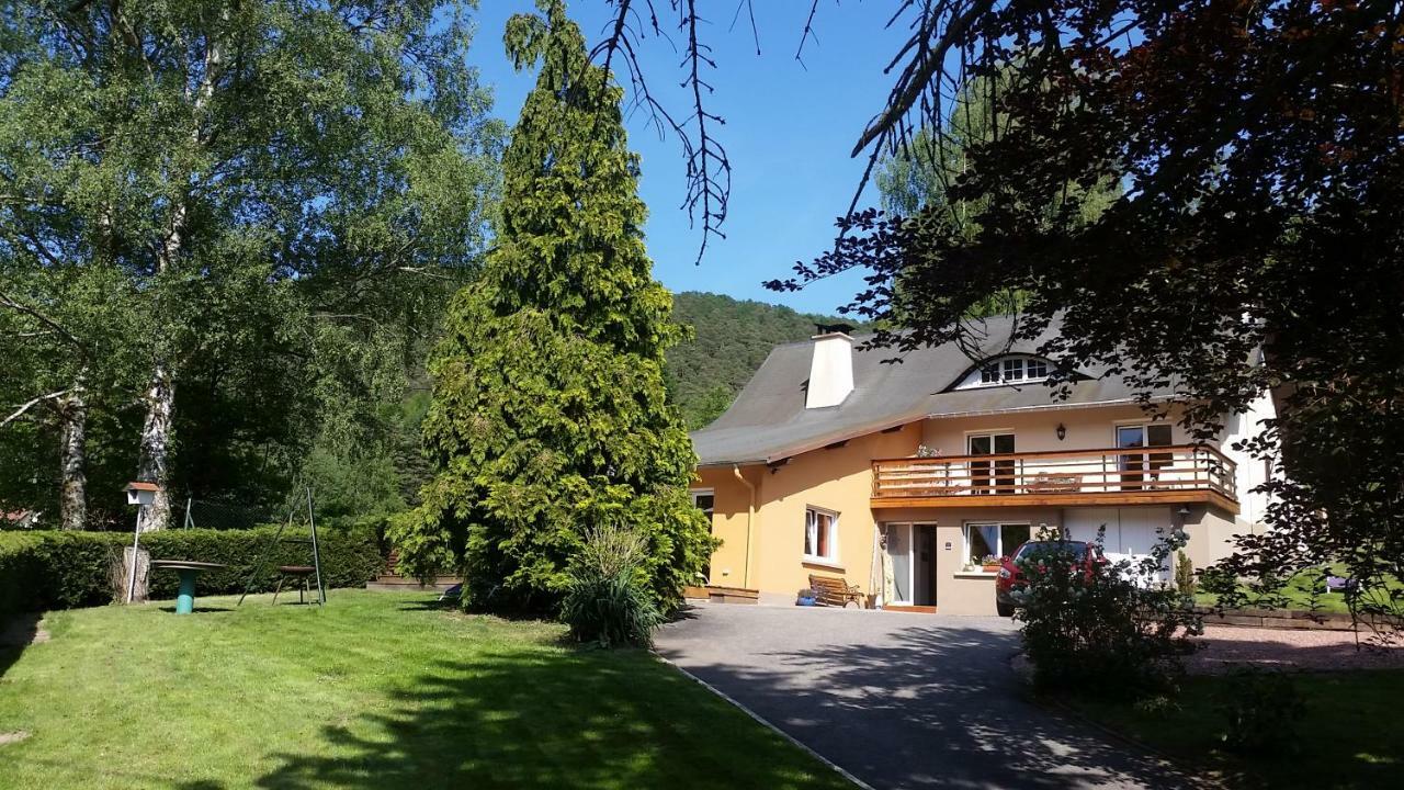 Le Wineck Villa Dambach Bagian luar foto