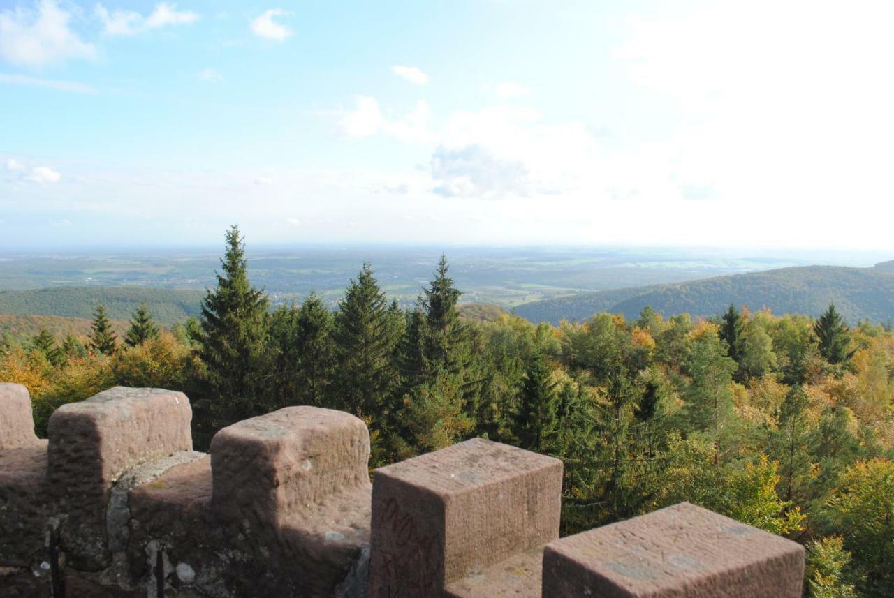 Le Wineck Villa Dambach Bagian luar foto